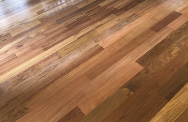 370x240_Elite-Wood-Floor